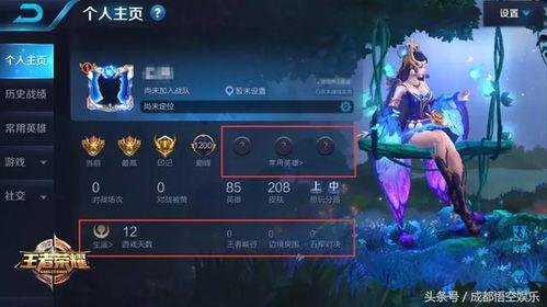 哪可以看王者的最新爆料,最新爆料带你领略游戏新篇章